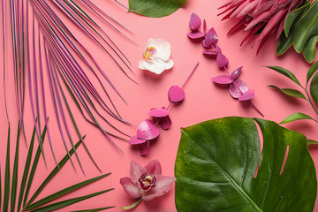 Beautiful tropical flowers with leaves on color background