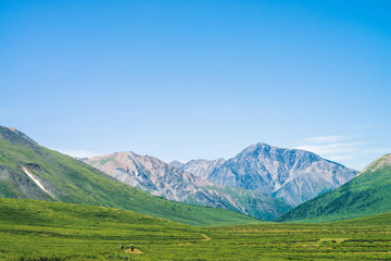 Tourists goes trail to giant mountains with snow in sunny day. Small tourists in green valley. Meadow with rich vegetation of highlands in sunlight. Amazing mountain landscape of majestic nature.