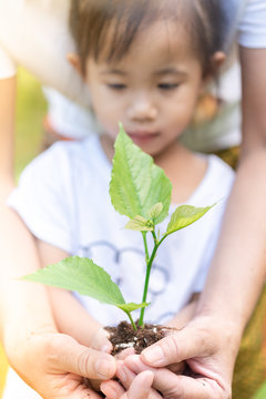 Close up Asian girl and mother's hands holding small plant prepare for plantation.