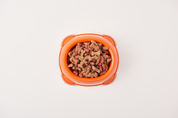 elevated view of plastic bowl with dog food on white surface