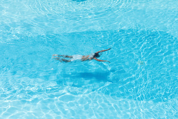 Naklejka premium Aerial view on the men in the swimming pool with transparent blue water. In the motion