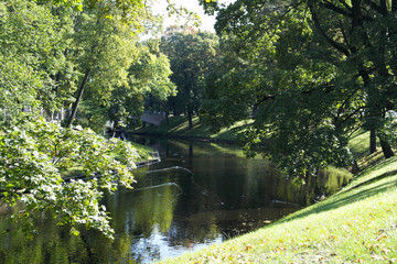 Obraz premium bridge in the park