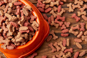 selective focus of plastic bowl with pile of dog food on wooden table