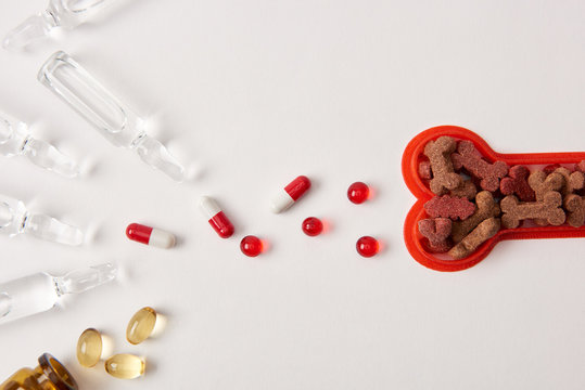 top view of ampoules with medical liquid, various pills and plastic bone with dog food on white surface