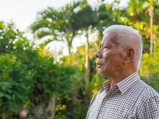 Portrait of senior man looking up in his garden.