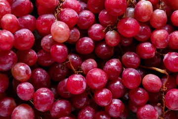 Ripe sweet grapes, closeup