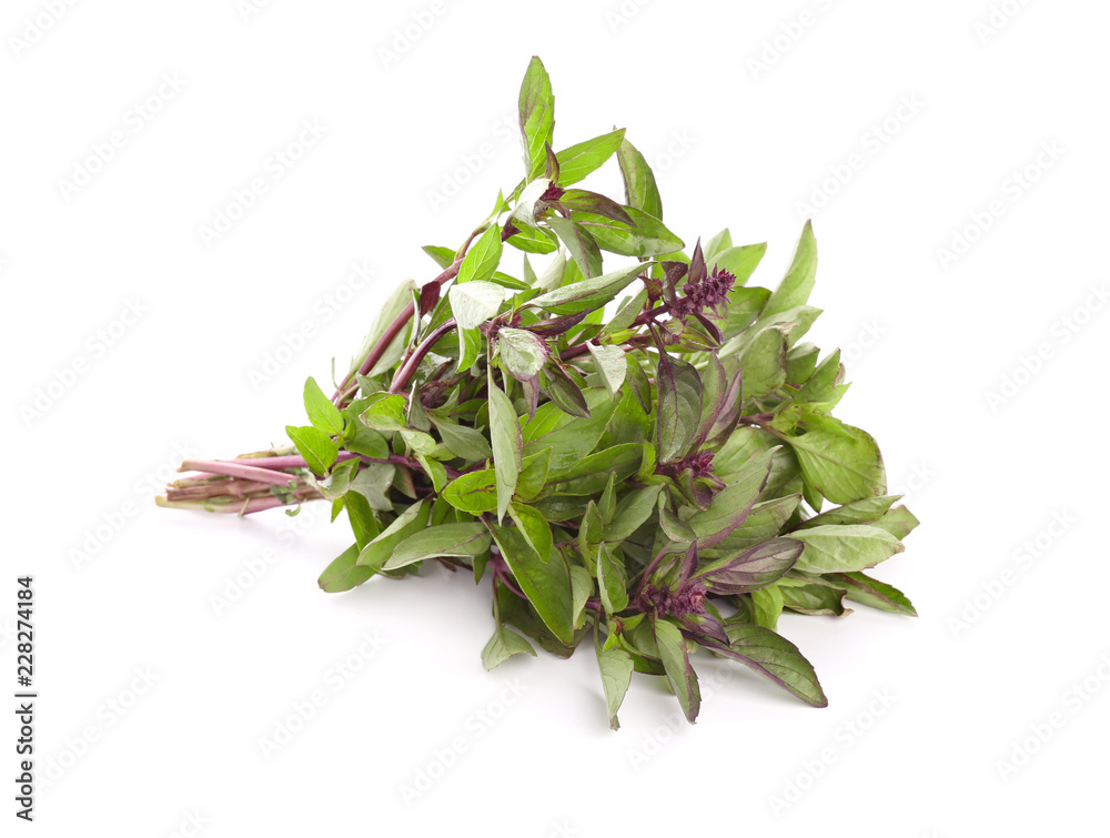 Wall mural fresh aromatic basil on white background