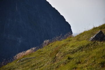 Norwegen, Lofoten, Ryten, Berg, Flakstad, Medvoll, Aussichtsberg, wandern, bergsteigen, Ramberg, Leknes, Sandbotnen, Yttersand, Fuklhuken, Middagstinden, Kvalvika