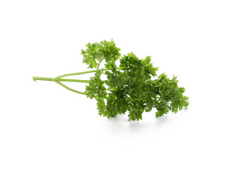 Fresh aromatic parsley on white background