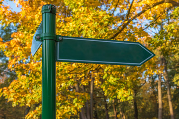 An arrow shows the direction in the autumn forest