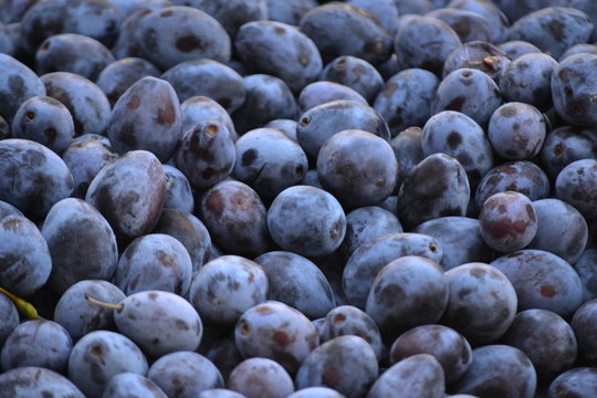 Zwetschgen auf dem Markt
