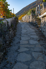 Pilgerweg entlang eines herbstlich gefärbten Weinbergs – Pilgerweg/Jakobsweg von Ligerz nach La Neuveville - Herbst in der Schweiz am Bielersee