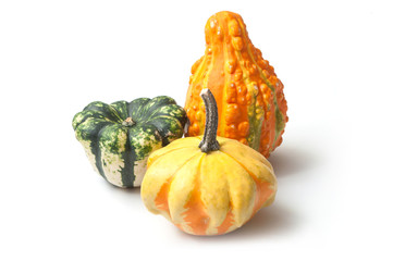 closeup of colorful gourds for halloween decoration on white background