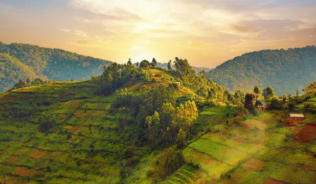 Landscape in southwestern Uganda, at the Bwindi Impenetrable Forest National Park, at the borders of Uganda, Congo and Rwanda. The Bwindi National Park is the home of the mountain gorillas.
