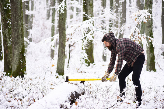 Woodsman Images – Browse 82,802 Stock Photos, Vectors, and Video ...