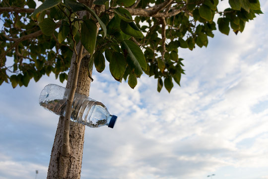 Plastic bottle in nature contaminates