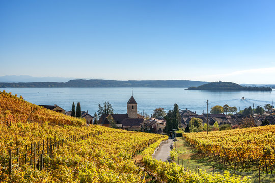 Blick auf den herbstlich gefärbten Rebenweg bei Twann - Bielersee, Kanton Bern, Schweiz