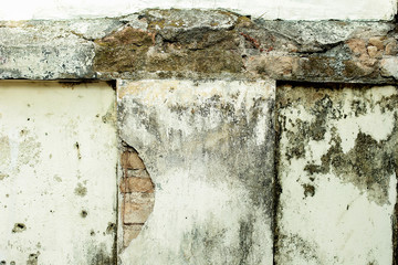 old wall texture with mossy and cracked plaster
