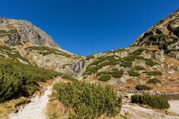 Fototapeta na wymiar Skok waterfall. High Tatras mountains on a summer day.