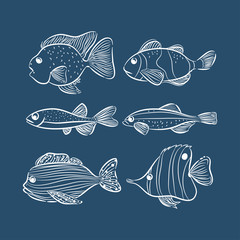 set of different fishes