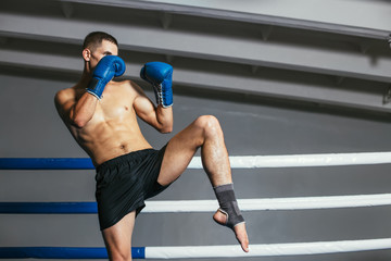 Male boxer fighting in gloves in boxing ring