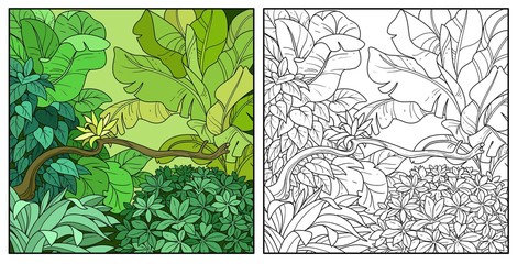 Jungle with big bush in the foreground color and black contour line drawing for coloring on a white background