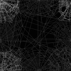 dense spider square web on black