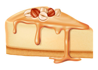 Cheesecake with nuts and caramel sauce. Vector illustration.