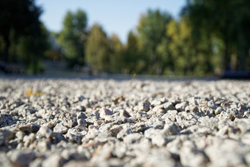 Pebble Footpath with shadows of tree, good weather.