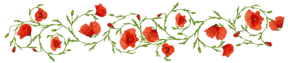 Panele Szklane Podświetlane  red poppy flower ornament strip on white background