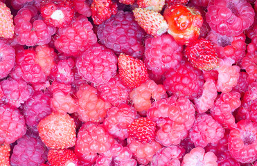 pink strawberries and raspberries background