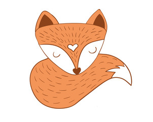 Scandinavian sleepy fox