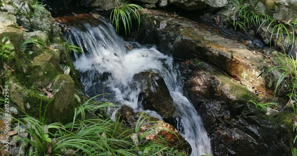 Poster beautiful cascade river in the forest