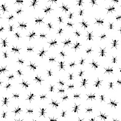 Ant seamless pattern. Black and white vector seamless pattern with ants. Animal background.