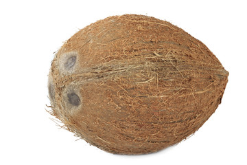 coconut isolated on white background