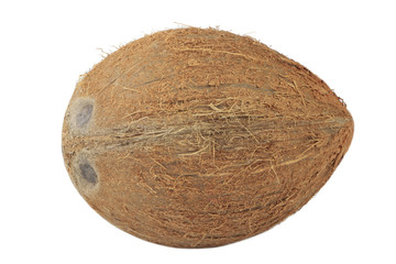 coconut isolated on white background