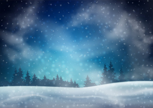 Winter Night Landscape