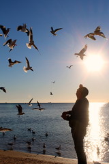 Man feeding seagulls on the coast
