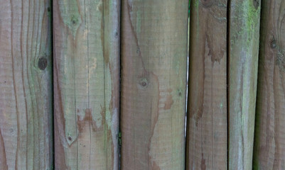 new clean wooden poles macro close up texture background