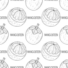 Mangosteen. Tropical Fruit. Text. Background, wallpaper, seamless.  Texture. Sketch. Monochrome.
