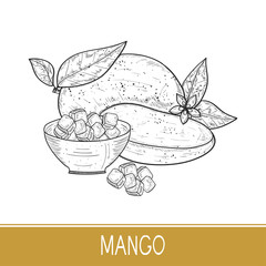 Mango. Fruit, flower, leaf. Bowl. Sketch. Monochrome.