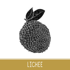 Lichee. Fruit. Black silhouette on white background.