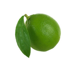 green fresh lime with green leaf  isolated on white