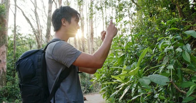 Man take photo on cellphone in the forest under sun flare
