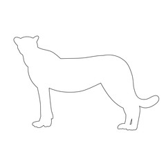 vector, sketch of cheetah, jaguar standing
