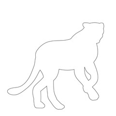 vector, sketch of cheetah, jaguar standing