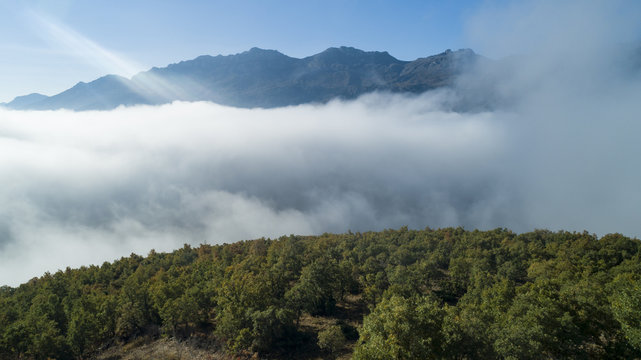 Fototapeta drone photo of foggy forests and mountains