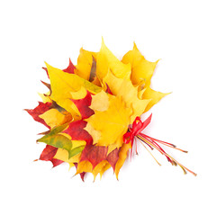 Bouquet of red and yellow maple leaves tied red ribbon. Isolated, top view.