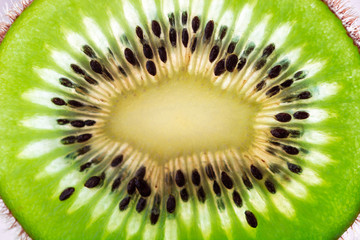 fetta di kiwi tagliata sottile, in controluce