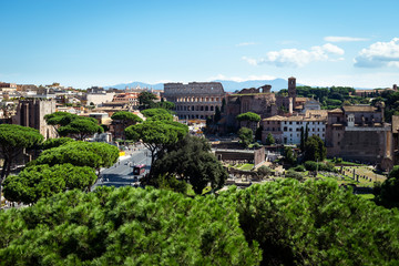 Fototapeta na wymiar Rome cityscape with green trees and old architecture. Daylight with blue sky